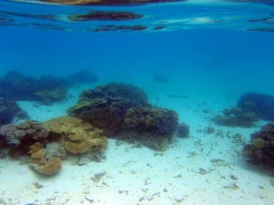 石垣島の天気 気候 服装 ライズ石垣島